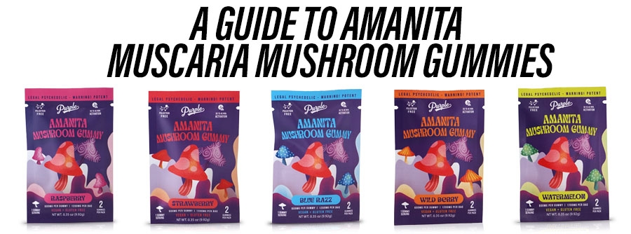 A Guide to Amanita Muscaria Mushroom Gummies